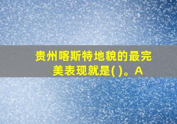 贵州喀斯特地貌的最完美表现就是( )。A